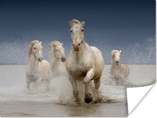 Poster Paarden - Water - Modder - 120x90 cm