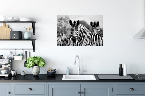 Poster Zebra - Zwart - Wit - Animaux - 90x60 cm