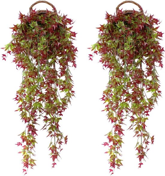 Binnenkant Van Een Kamer Met Lederen Wijnstok En Groene Planten in