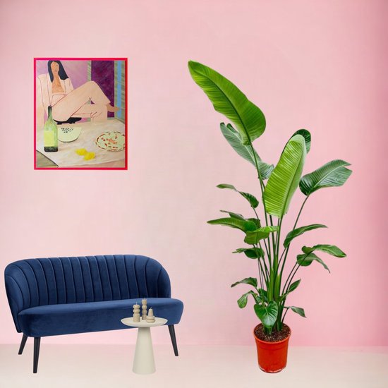 Veel ruimte in huis? Ga voor één van deze 5 grote kamerplanten