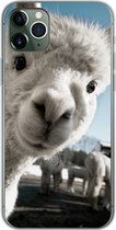 Geschikt voor iPhone 11 Pro Max hoesje - Alpaca - Wit - Dier - Siliconen Telefoonhoesje
