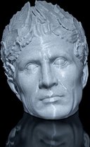 Sculpture de tête romaine | Statue romaine détaillée | dieux grecs | Style artistique grec | Art romain | Empire romain | Impression 3D