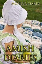 Amish Diaries