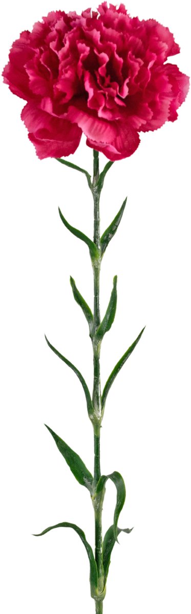 Emerald Kunstbloemen - Nepbloemen - Anjer - Zijde - Hardroze - 69 cm
