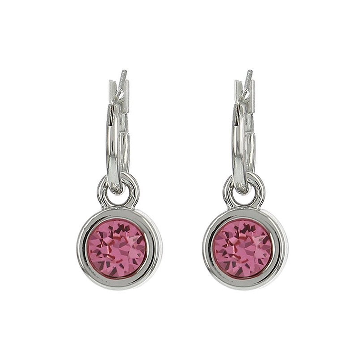 Biba Oorhangers zilver met steen Rose