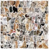 100 stuks Poezen Stickers - Foto - Voor op de fiets, beker, laptop, schoolspullen, kamer, etc - School - Kinderen - Stickers - Plakken - Stikker - Cats - Katten - Schattig - Meisjes - Bundel - Set - 100