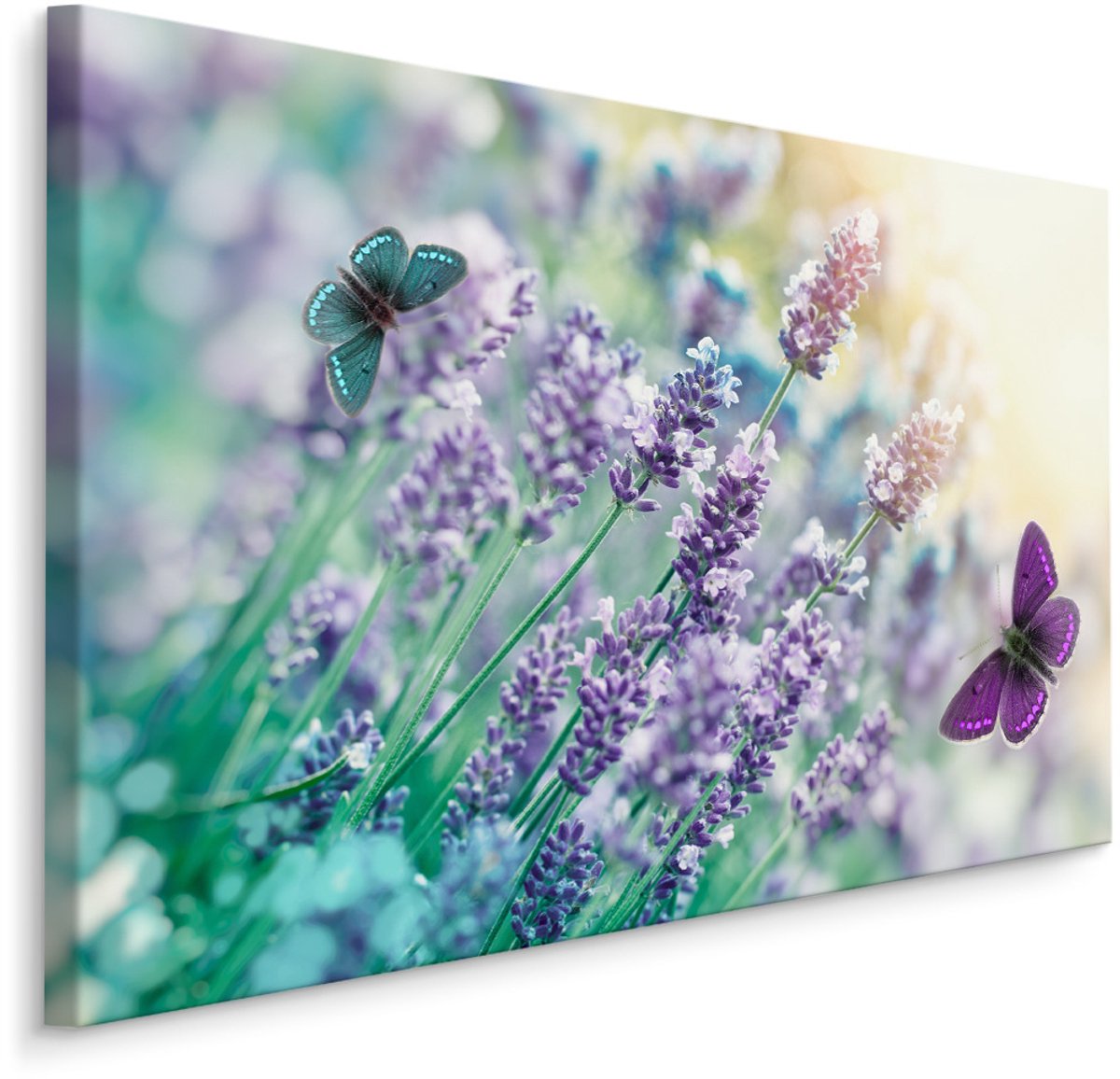 karo-art Schilderij - Lavendel en Vlinders , Wanddecoratie , Premium print Multikleur