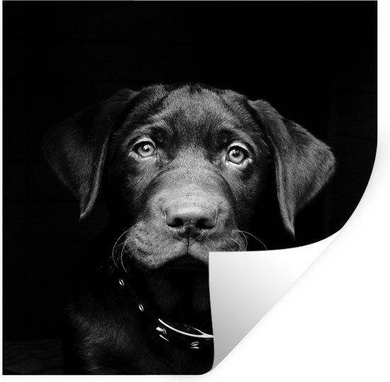 Muurstickers - Sticker Folie - Hond - Licht - Zwart - 30x30 cm - Plakfolie - Muurstickers Kinderkamer - Zelfklevend Behang - Zelfklevend behangpapier - Stickerfolie