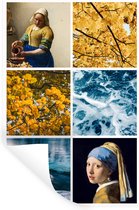 Muurstickers - Sticker Folie - Vermeer - Collage - Natuur - 60x90 cm - Plakfolie - Muurstickers Kinderkamer - Zelfklevend Behang - Zelfklevend behangpapier - Stickerfolie