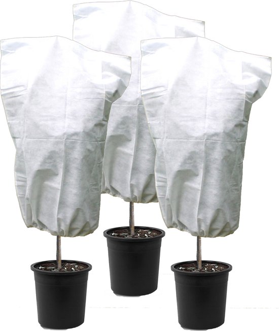 Stamrozen in pot | Winterbescherming! – De Rozenkring