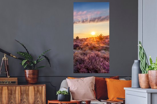 Heather fleurissant pendant le coucher du soleil aux Nederland