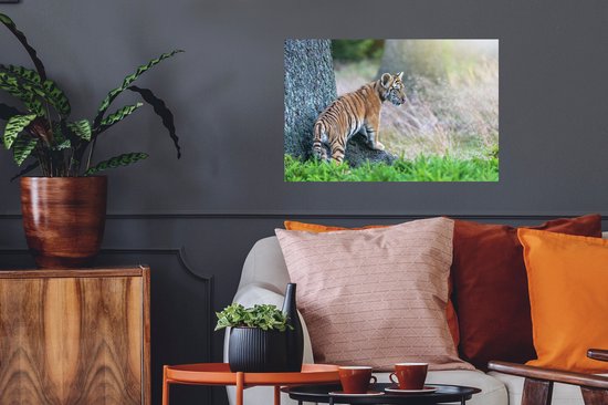 Stickers muraux - Film adhésif - Tigre dans la forêt - 60 x 40 cm - Film adhésif - Stickers muraux chambre d'enfant - Papier peint autocollant - Film adhésif