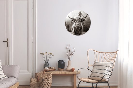 Wallpaper Circle - Scottish Highlander - Animaux - Zwart - Wit - ⌀ 30 cm - Wall Circle