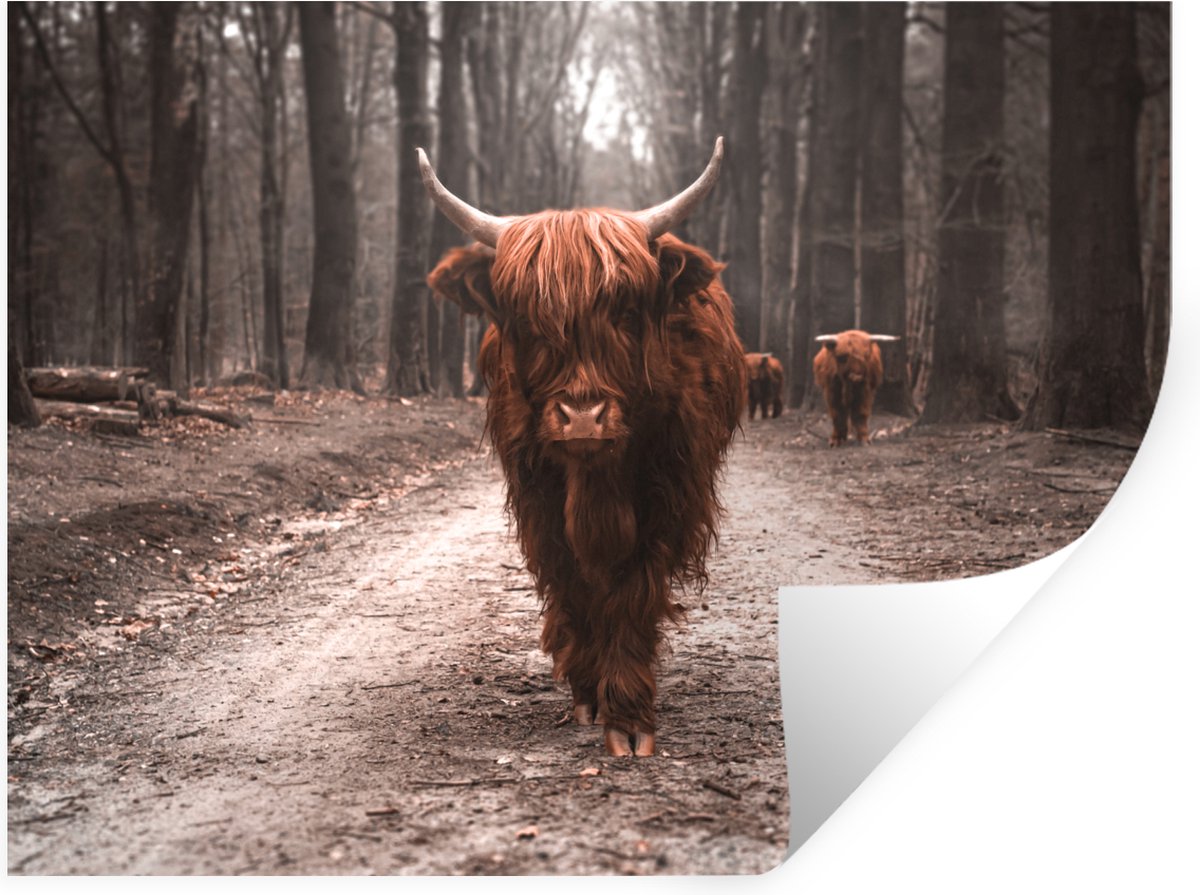 Muurstickers - Sticker Folie - Schotse hooglander - Dieren - Bomen - 40x30 cm - Plakfolie 