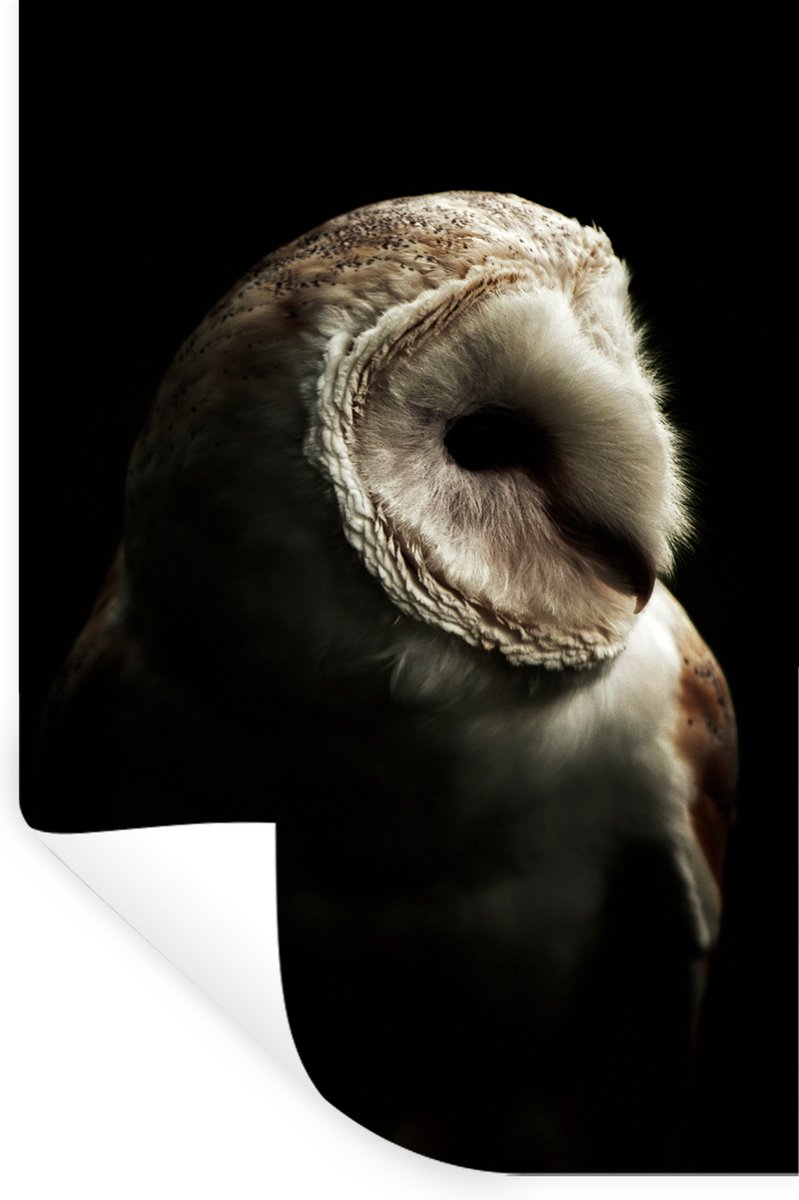 Muurstickers - Sticker Folie - Uil - Vogel - Portret - 60x90 cm - Plakfolie - Muurstickers