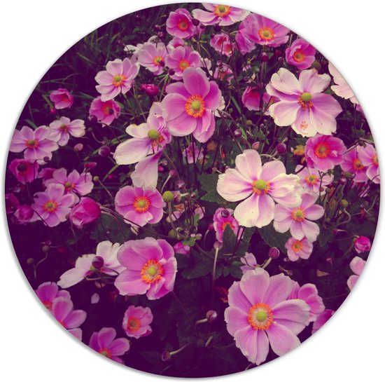 Label2X - Muurcirkel - Roze bloemen - Ø 100 cm - Forex - Multicolor - Wandcirkel - Rond Schilderij - Bloemen en Planten - Muurdecoratie Cirkel - Wandecoratie rond - Decoratie voor woonkamer of slaapkamer