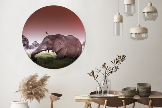 Wall Circle - Indoor Wall Circle - Coucher de soleil rouge sur un éléphant dans l'herbe - ⌀ 140 cm - Décoration murale - Peintures ronds