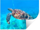 Muurstickers - Sticker Folie - Schildpad - Zee - Blauw - 80x60 cm - Plakfolie - Muurstickers Kinderkamer - Zelfklevend Behang - Zelfklevend behangpapier - Stickerfolie