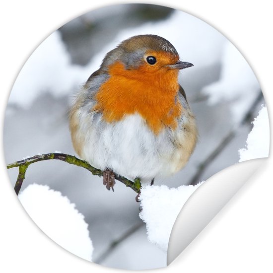 WallCircle - Stickers muraux - Cercle de papier peint - Robin - Neige - Hiver - 120x120 cm - Cercle mural - Autocollant - Papier peint autocollant rond XXL