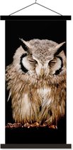 Porte-affiche avec affiche - Affiche scolaire - Hibou - Vogel - Zwart - 90x180 cm - Lattes noires