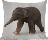 Tuinkussen - Kleine olifant tegen witte achtergrond - 40x40 cm - Weerbestendig