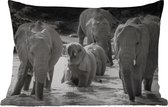 Buitenkussens - Tuin - Familie olifanten in het water in zwart-wit - 50x30 cm