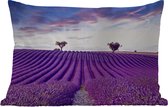 Buitenkussens - Tuin - Lavendel - Natuur - Paars - Bomen - Bloemen - 50x30 cm
