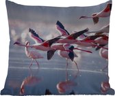 Sierkussen Buiten - Flamingo - Vogel - Water - Roze - 60x60 cm - Weerbestendig