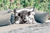 Buitenkussens - Schotse hooglander - Natuur - Koe - Zwart - Wit - 60x40 cm - Weerbestendig
