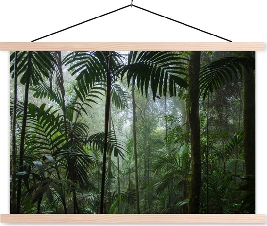 Posterhanger incl. Poster - Schoolplaat - Regenwoud - Tropisch - Jungle - Bomen - Planten - 150x100 cm - Blanke latten