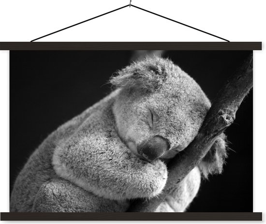 Poster koala endormi sur fond noir en textielposter noir et blanc lattes noires 60x40 cm - Tirage photo sur plaque scolaire (décoration murale salon / chambre)
