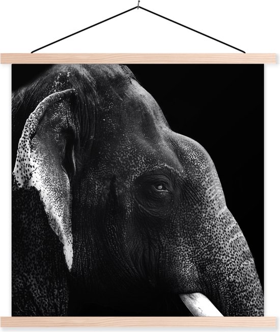 Éléphant sur fond noir en noir et blanc affiche textielposter lamelles vierges 120x120 cm - Tirage photo sur plaque scolaire (décoration murale salon / chambre)