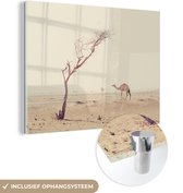 MuchoWow® Glasschilderij 40x30 cm - Schilderij acrylglas - Kameel wandelt over woestijnweg in Dubai - Foto op glas - Schilderijen