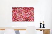 Décoration murale Métal - Peinture Aluminium Industrielle - Fleurs - Couleurs - Roses - 90x60 cm - Dibond - Photo sur aluminium - Décoration murale industrielle - Pour le salon / chambre
