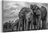 Décoration murale Métal - Peinture Aluminium Industriel - Eléphant - Animaux - Water - Zwart et blanc - 120x60 cm - Dibond - Photo sur aluminium - Décoration murale industrielle - Pour le salon/chambre