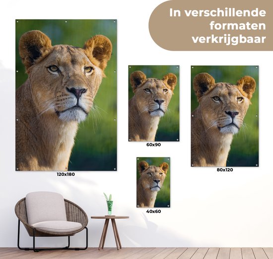 Poster Jardin jeune lionne 40x60 cm - petit - Toile de jardin / Toile d'extérieur / Peintures d'extérieur (décoration de jardin)