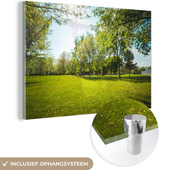 MuchoWow® Peinture sur verre 30x20 cm - Peinture sur verre acrylique - Les arbres verts dans un parc - Photo sur verre - Peintures