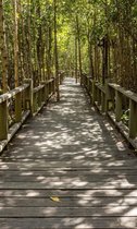 Fotobehang - Mangrove Forest 150x250cm - Vliesbehang