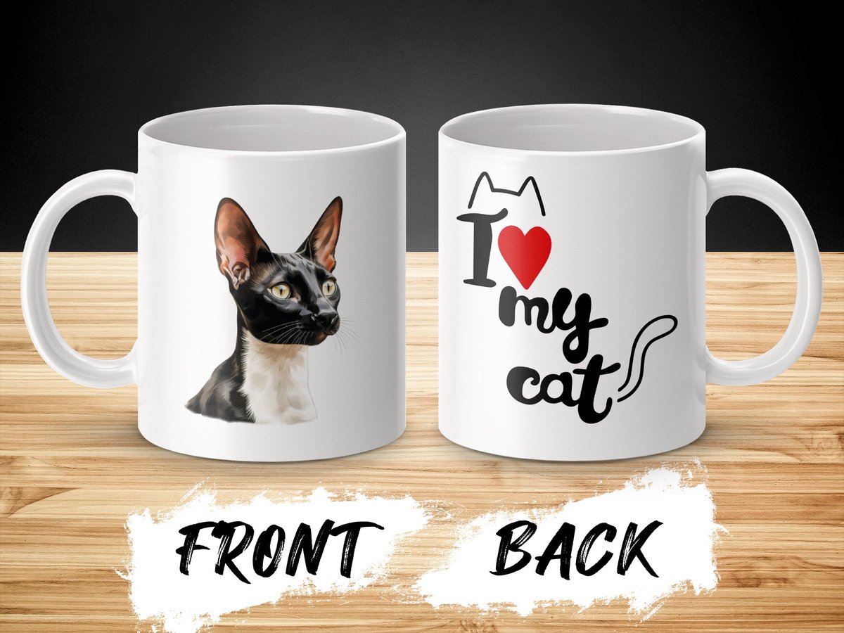 Mok Oriental Shorthair cat - kat - I love my cat - cat lovers - katten