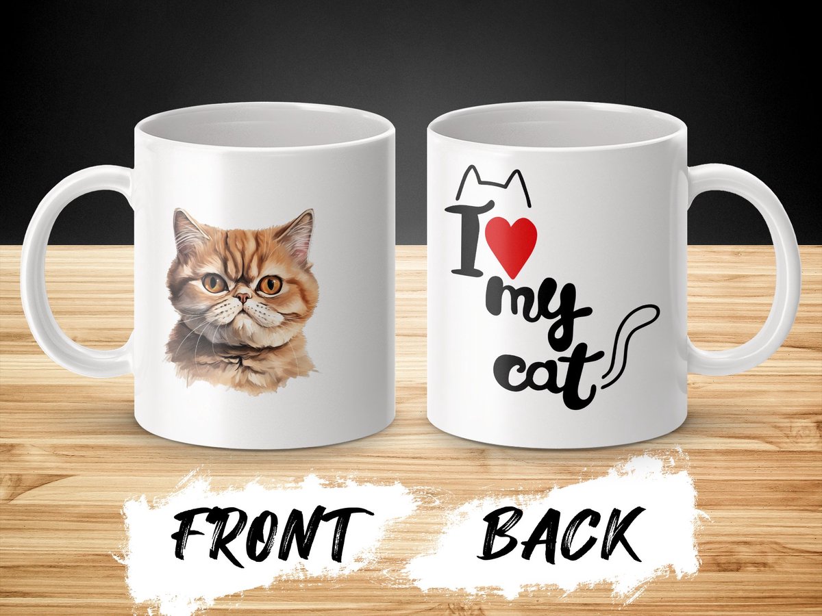 Mok Exotic Shorthair cat - kat - I love my cat - cat lovers - katten