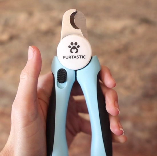 Nagelschaar groot voor de hond | Voordelig bij