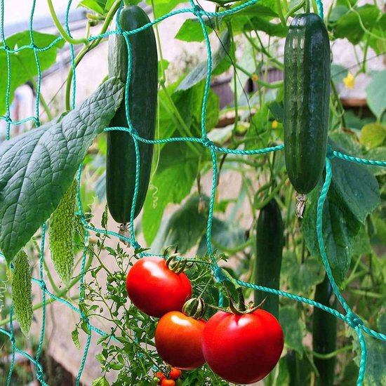 GARDENIX 2x5m climbing net for tomatoes, cucumbers and climbing plants and 100 plant clips (2x5m, black
