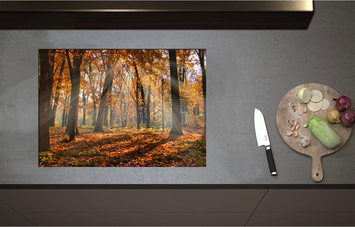 Inductieplaat Beschermer - Bos in de Herfst met Zonnestralen door de Bomen - 71x50 cm - 2 mm Dik - Inductie Beschermer - Bescherming Inductiekookplaat - Kookplaat Beschermer van Zwart Vinyl
