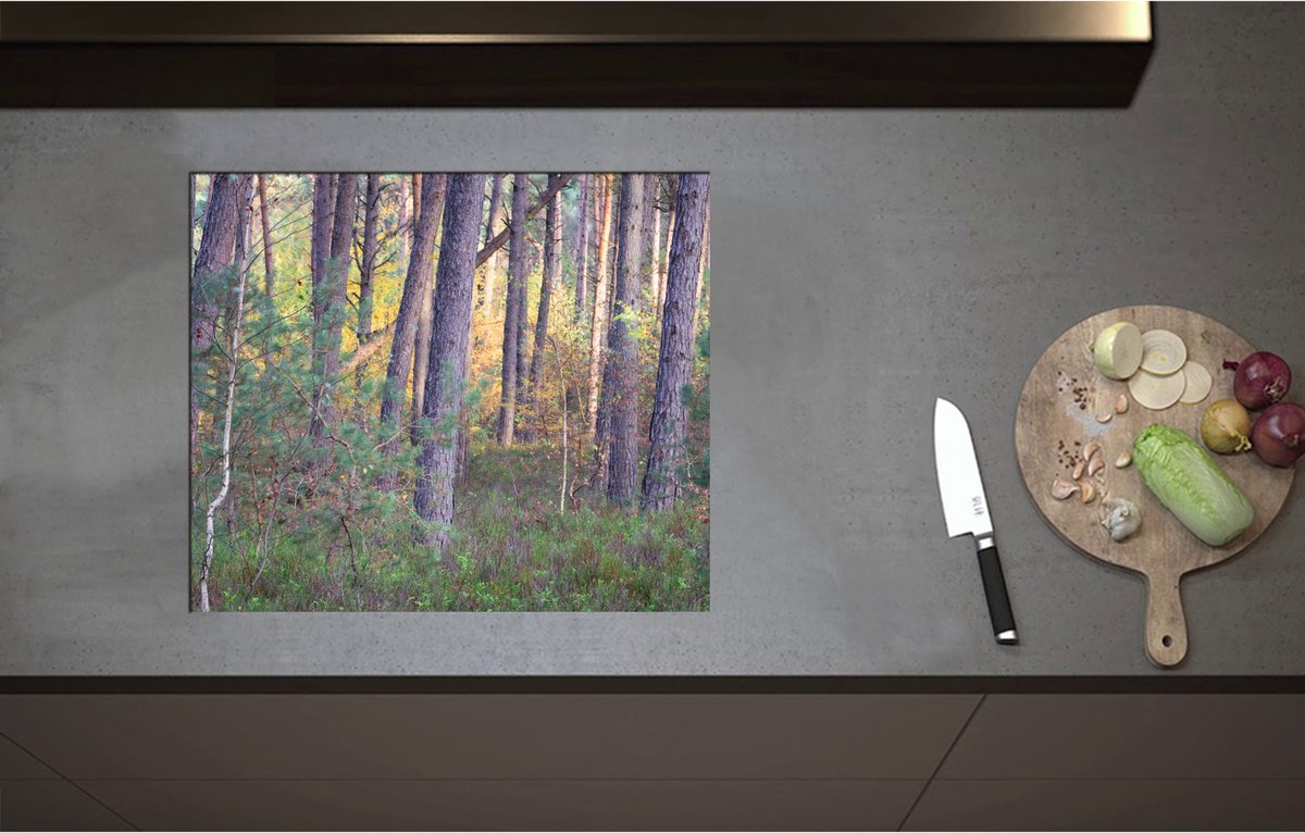 Inductieplaat Beschermer - Bomen in een Bos in Nederland - 60x51 cm - 2 mm Dik - Inductie Beschermer - Bescherming Inductiekookplaat - Kookplaat Beschermer van Zwart Vinyl