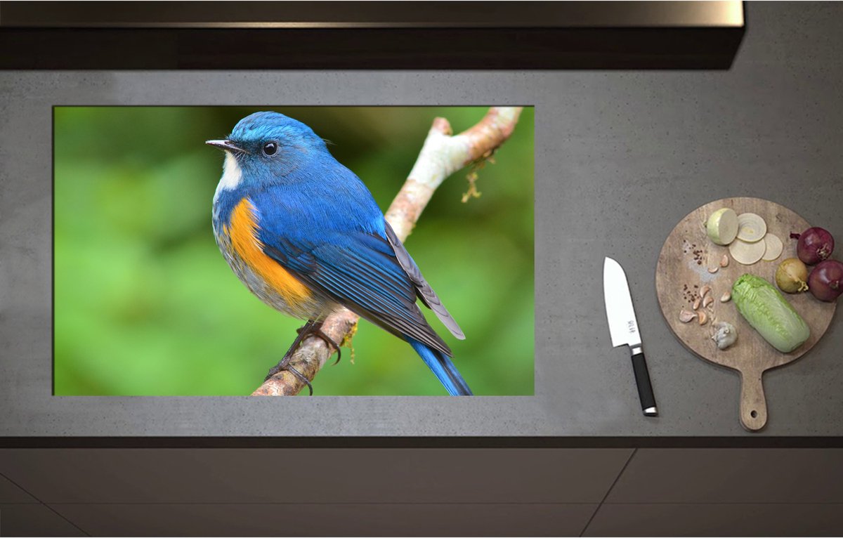 Inductieplaat Beschermer - Blauwe Vogel met Oranje Borstje op Dunne Tak - 85x52 cm - 2 mm Dik - Inductie Beschermer - Bescherming Inductiekookplaat - Kookplaat Beschermer van Zwart Vinyl