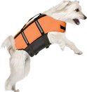 Een witte hond draagt een feloranje zwemvest met zwarte accenten en reflecterende strepen.