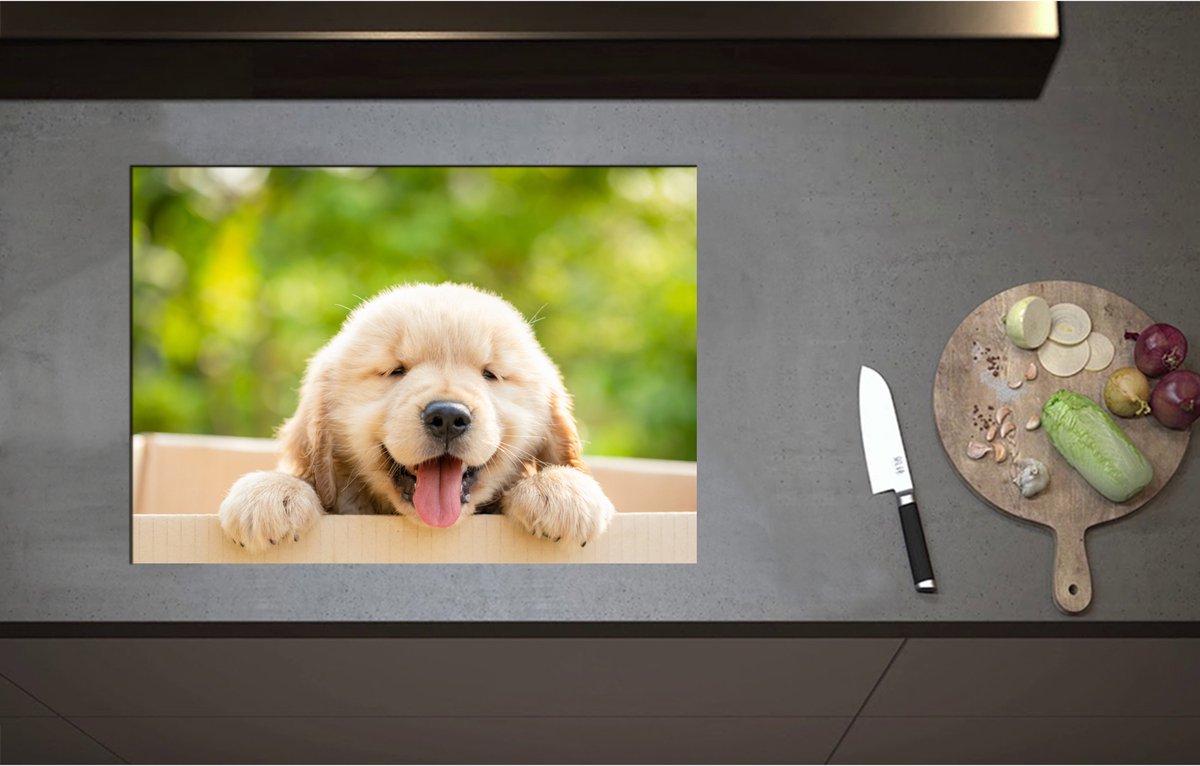 Inductieplaat Beschermer - Blije Golden Retriever Puppy in Kartonnen Doos - 71x50 cm - 2 mm Dik - Inductie Beschermer - Bescherming Inductiekookplaat - Kookplaat Beschermer van Zwart Vinyl