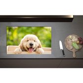 Inductieplaat Beschermer - Blije Golden Retriever Puppy in Kartonnen Doos - 80x50 cm - 2 mm Dik - Inductie Beschermer - Bescherming Inductiekookplaat - Kookplaat Beschermer van Wit Vinyl