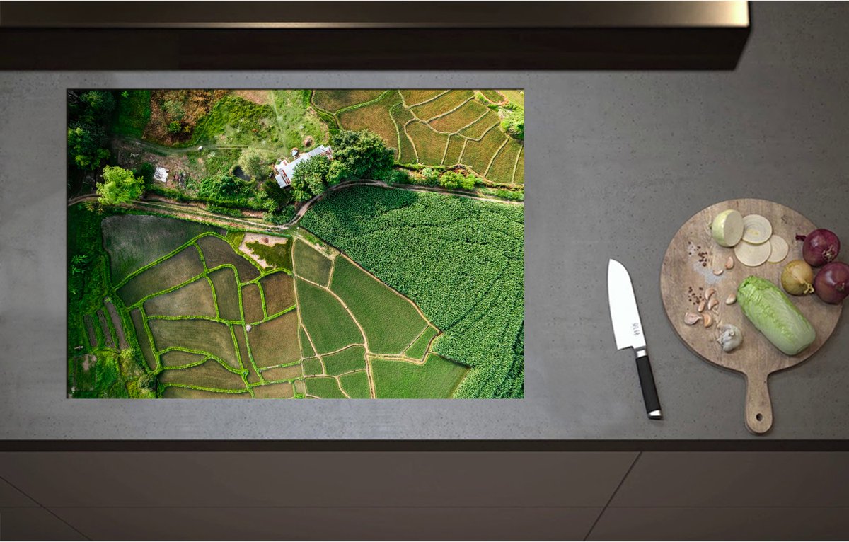 Inductieplaat Beschermer - Bovenaanzicht van een Landschap Gevuld met Rijstvelden - 80x55 cm - 2 mm Dik - Inductie Beschermer - Bescherming Inductiekookplaat - Kookplaat Beschermer van Wit Vinyl