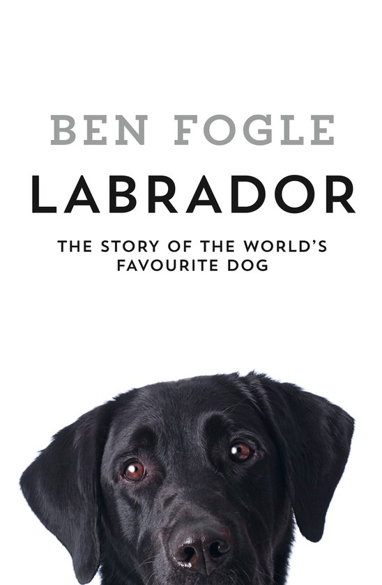 Labrador - cover